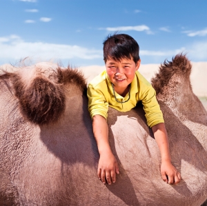 Mongolian young boy with camel